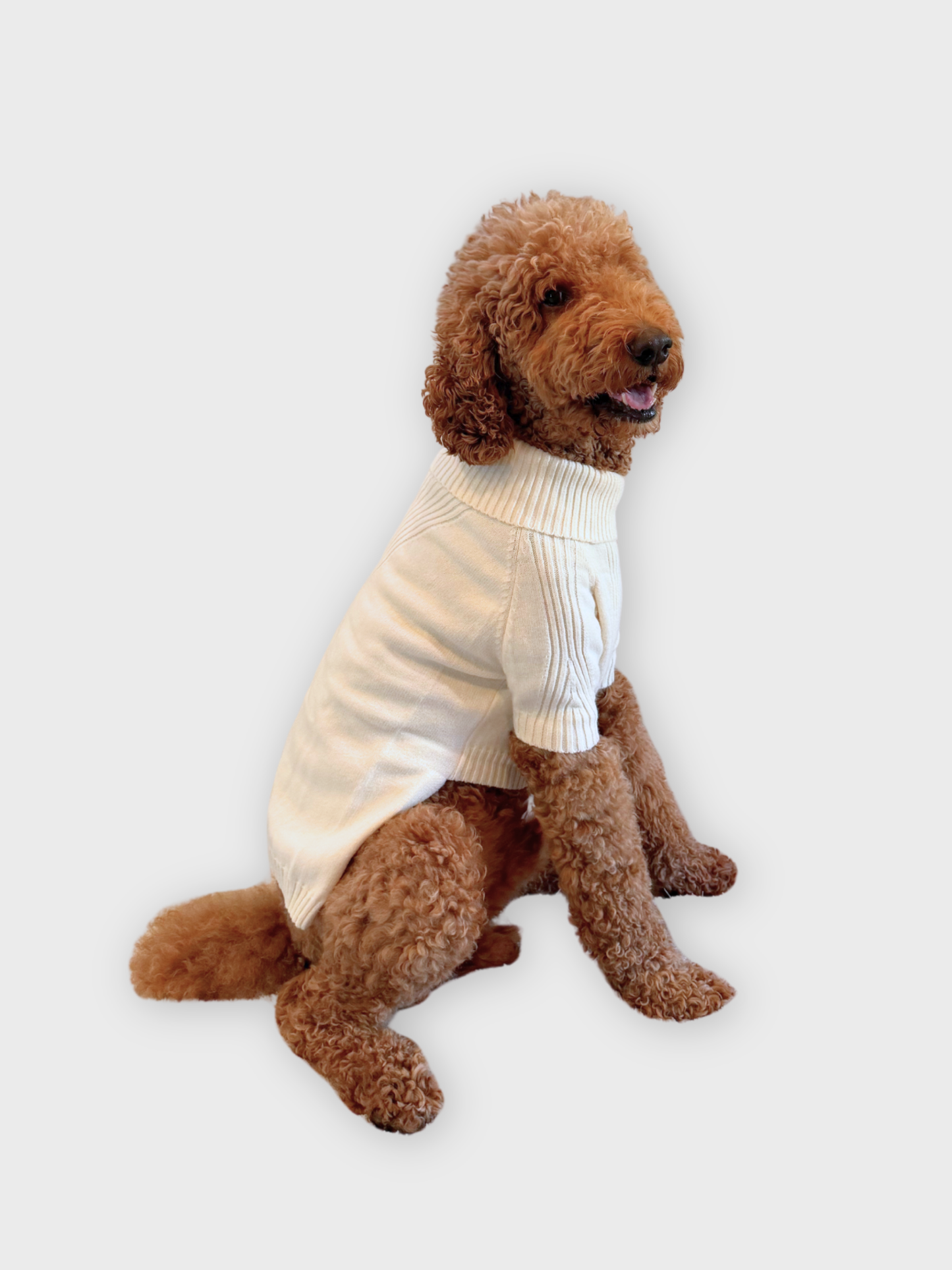 JB's Holiday Sweater