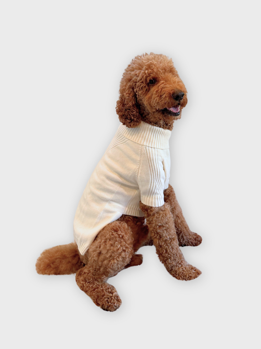 JB's Holiday Sweater