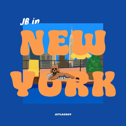 JB in New York City 🇺🇸 Hardcover